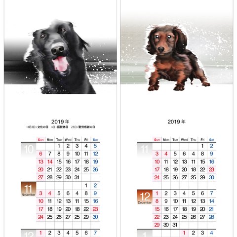 犬a　2019年度月捲りカレンダー