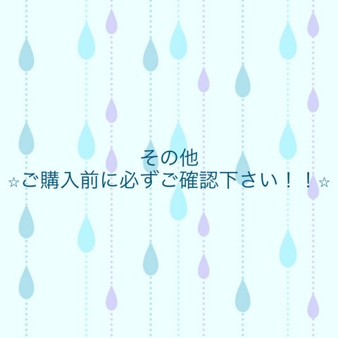 その他☆ご購入前に必ずご確認下さい！！