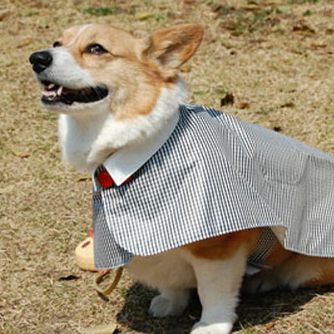 【受注製作】コーギー・中型犬お散歩用マント