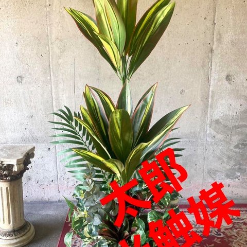 光触媒　人工観葉植物　ウォールグリーン　フェイク　フラワー　マッサンアレンジr15