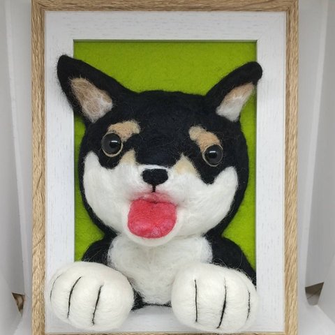 額縁からこんにちは！柴犬くん