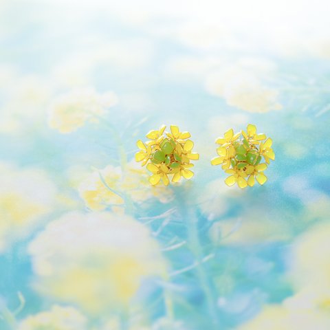 【菜の花-Full*Bloom-】春を着飾るイヤリング※飾れるフォトパネル付！