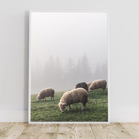 霧に包まれた春の山の羊の群れ / アートポスター 風景写真 山 牧草地 アートプリント 自然 ウクライナ ひつじ 動物