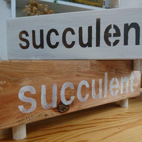 ウッドプランター　（ダックスプランター）succulent