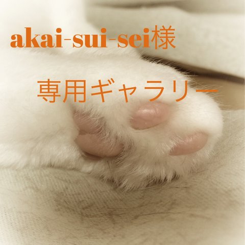 akai-sui-sei様専用ギャラリー