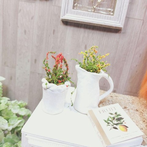 ドールハウス雑貨　鉢花　植木鉢　