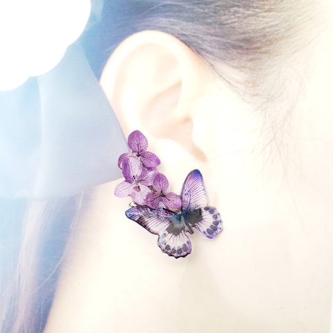 clear - purple  butterfly　カフ