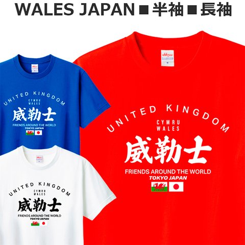 Tシャツ ウェールズ ラグビー フットボール サッカー ティシャツ