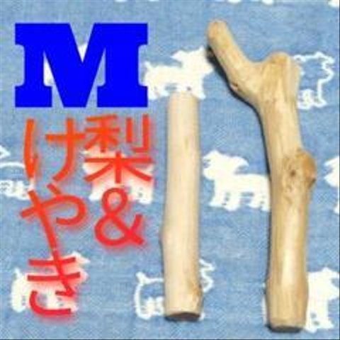 M.けやき梨の木新品.犬用おもちゃ、超小型犬向け歯固めかじり木