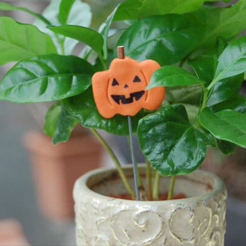 ハロウィン　カボチャ　ピック　ミニチュア