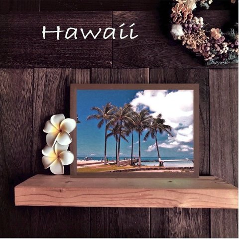 【送料無料】南国の風景☆HAWAII No.667                                        フレーム付    A4サイズ