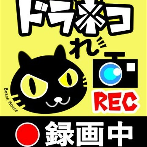 ドラレコ録画中ステッカー　ねこタイプ