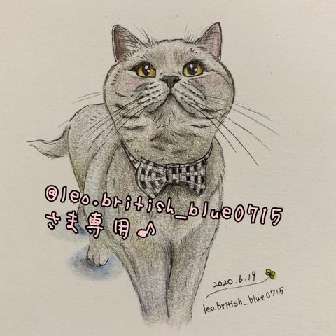 @leo.british_blue0715 さま専用♪