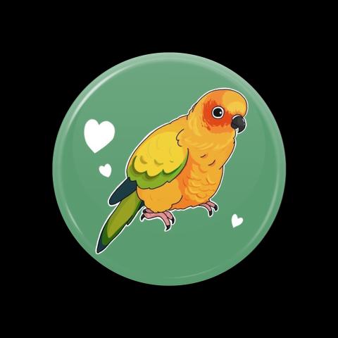 コガネメキシコインコ缶ミラー