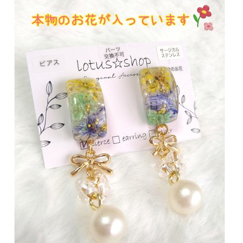 ピアス　イヤリング　レジン　本物のお花　No.029