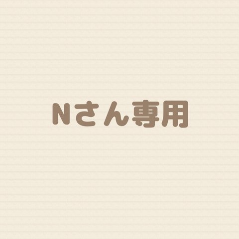 Nさん専用（※他の方は購入しないでください）