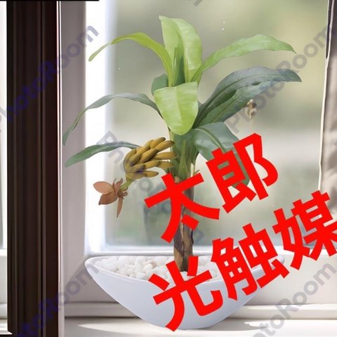 光触媒　人工観葉植物　ウォールグリーン　フェイクグリーン　バナナポット@