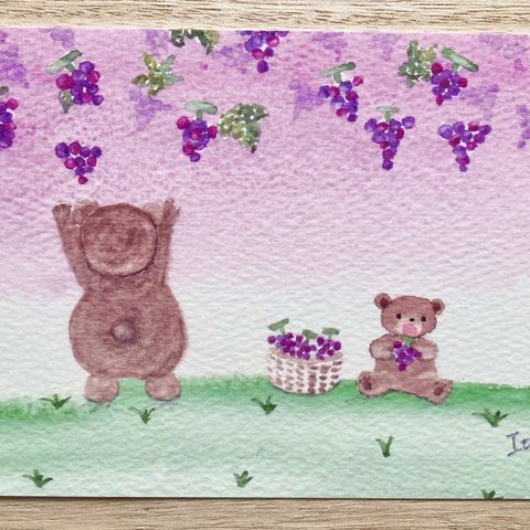 🍇透明水彩画「クマ親子のぶどう狩り」イラストポストカード2枚セット  ブドウ くま　秋　敬老の日　メッセージカード🍇