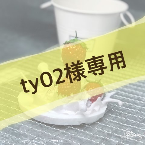 ty02様専用