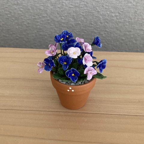 4  ビオラ　花鉢