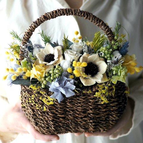 Flower basket pine flower -mimosa-