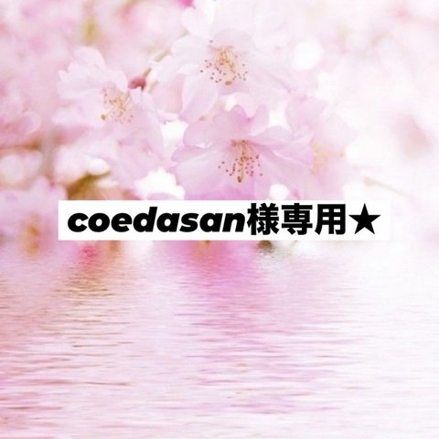 coedasan様♪