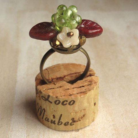 木苺の指輪　12