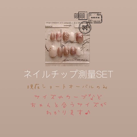 ネイルチップ測量SET