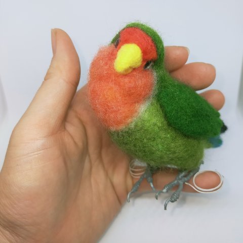 コザクラインコ　ノーマル