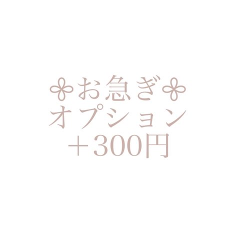 ▷お急ぎ◁オプション(キーホルダー)