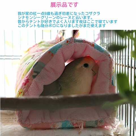 バードテントインコ柄 Mサイズ展示のみです。