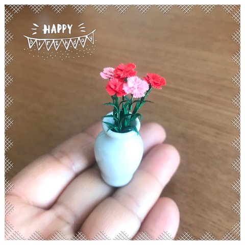 ミニチュアカーネーション💐