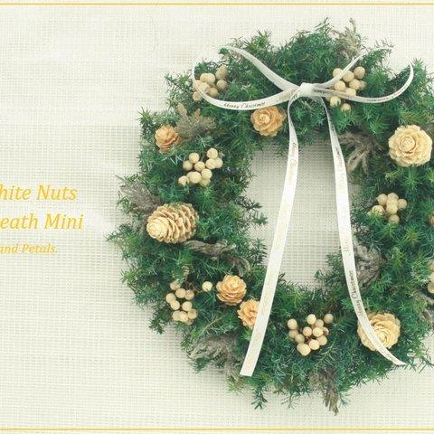 針葉樹とオフホワイトの木の実のシックなミニクリスマスリース White Nuts Wreath Mini（ホワイトナッツ リースミニ）W056