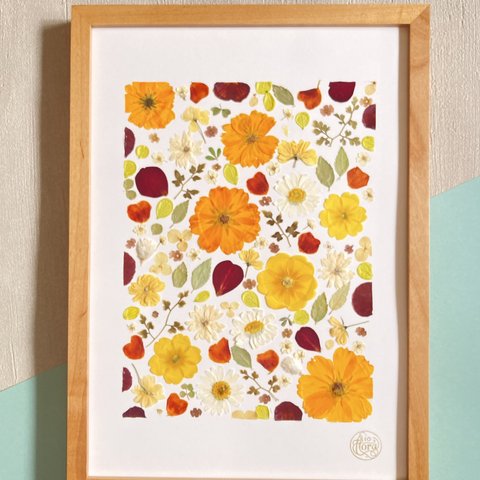 黄花コスモス 押し花アート　ハーバリウム　A4サイズ  io floraの美しい押花アート - 自然の美しさをあなたの家に