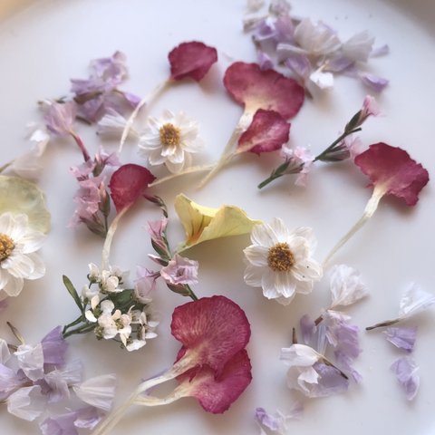 ドライフラワー 花材 アソート 花かんざし ビオラ 