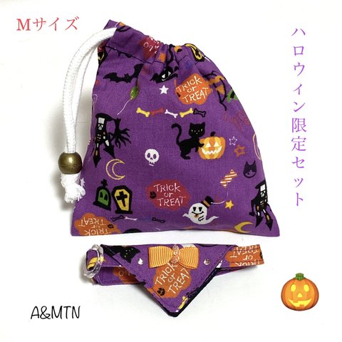 🐱猫ちゃんファースト☝🏻可愛いスタイ付きコットン首輪🎃ハロウィン限定セット💜M