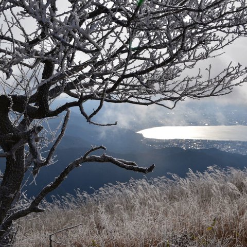 Ａ4　写真　プリント　冬