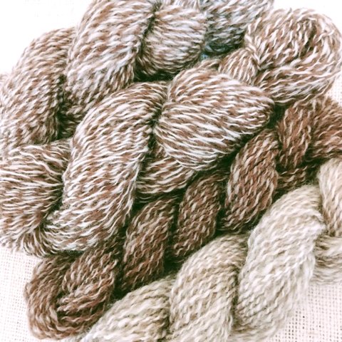 Woolly★手紡ぎ糸セット (ブラウン系杢糸）計142g