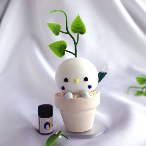 アロマで育つ植物 白青インコ 鉢植え ver. アロマストーン