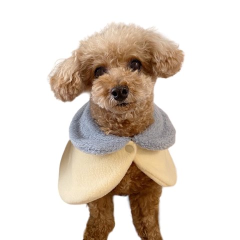 犬猫用 ケープコート くすみ水色カラーの冬のフリース 犬服