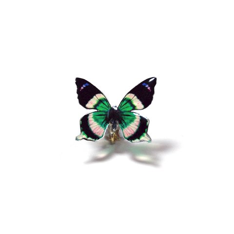 耳にとまる透ける蝶のイヤリング(アゲハ蝶系)