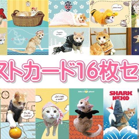 ☆バラ売り可　☆送料込み　ちゃしろ猫ミャアーのオリジナルポストカード（写真＋イラストデザイン）15枚セット＋シークレットポストカード１枚