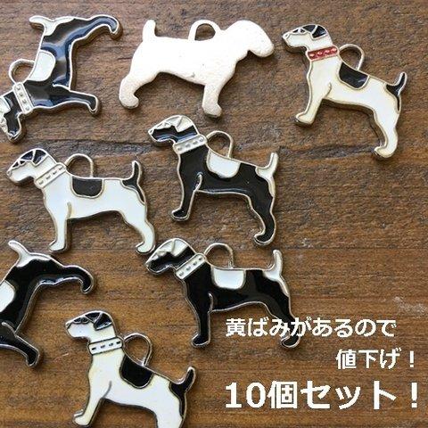 10個セット！黄ばみがあるので激安で販売！犬のカラーチャーム・エポチャーム・パーツ・イヌ・ワンコ／型番1268－B