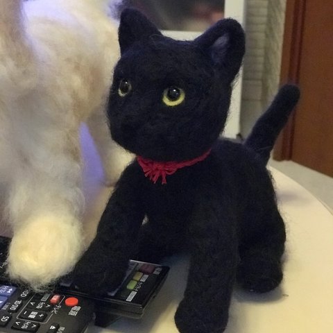 黒猫ロッキー