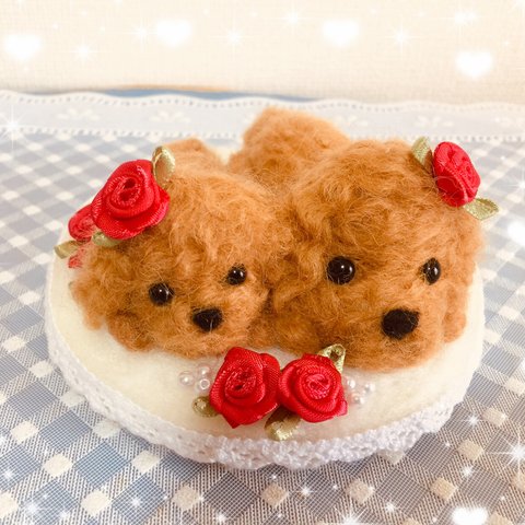 🌹母の日に🌹仲良し親子のトイプードルちゃん🐶🐶✨