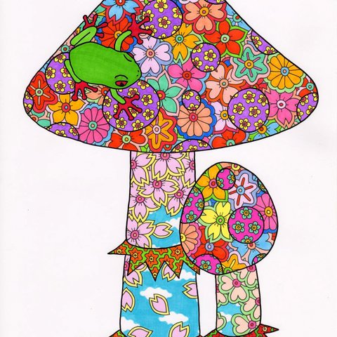 Frog on the mushroom