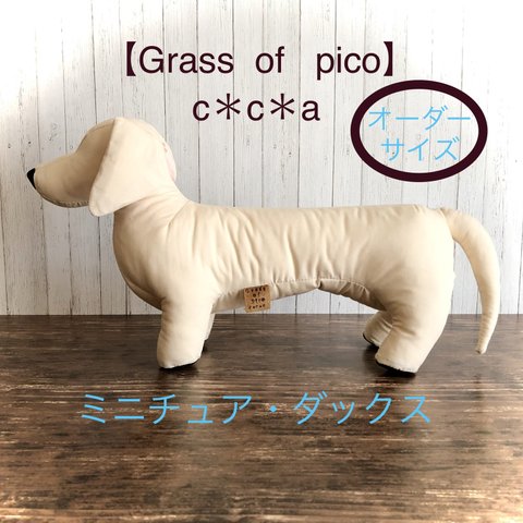 犬トルソー・マネキン   ミニチュアダックスフント（ノーマル）オーダーサイズ 【Grass  of  pico   c＊c＊a】