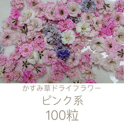 ピンク系 かすみ草ドライフラワー100粒