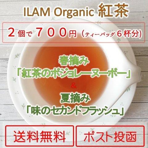 イラムオーガニック紅茶　2019年春摘み・夏摘み 3P X ２ SFTGFOP1 ネパール紅茶 プチギフト 