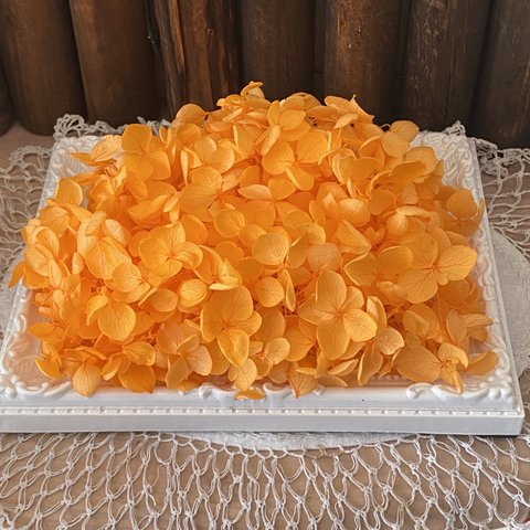 鮮やかオレンジ色❣️アナベルアジサイ小分け❣️ハンドメイド花材プリザーブドフラワー